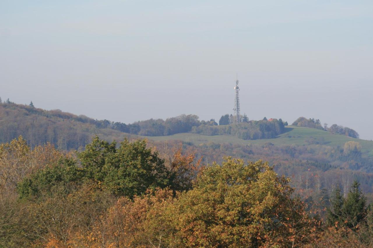 Fewo Im Naturpark Spiegelberg Exterior foto